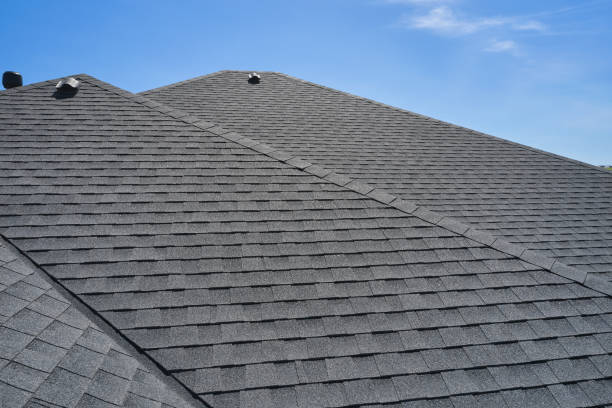 Best Roof Moss and Algae Removal  in Leesport, PA